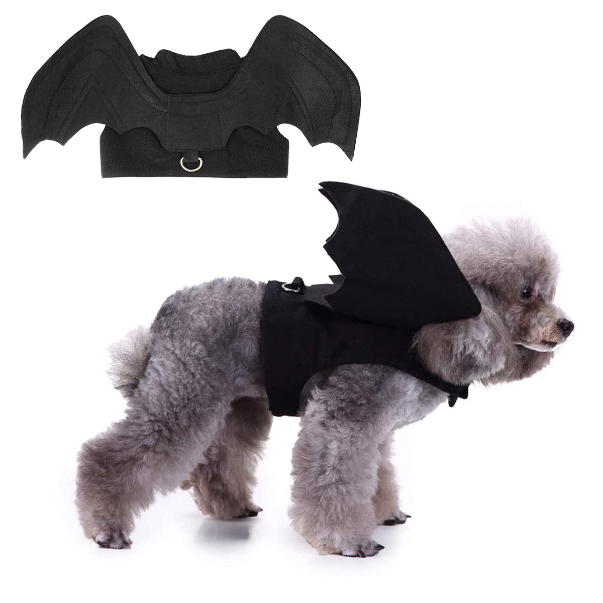 Bat Wings Pet Costume